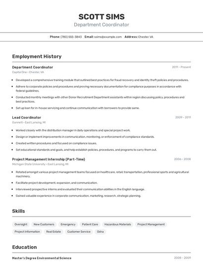 Resume example 2