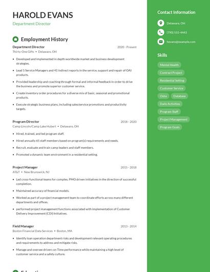 Resume example 4