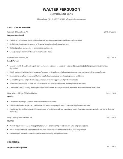 Department Lead Resume