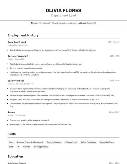 Resume example 2