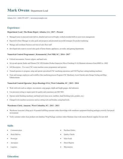 Department Lead Resume