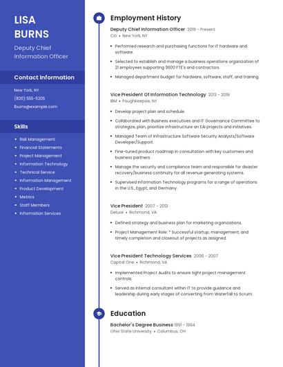 Deputy Chief Information Officer Resume