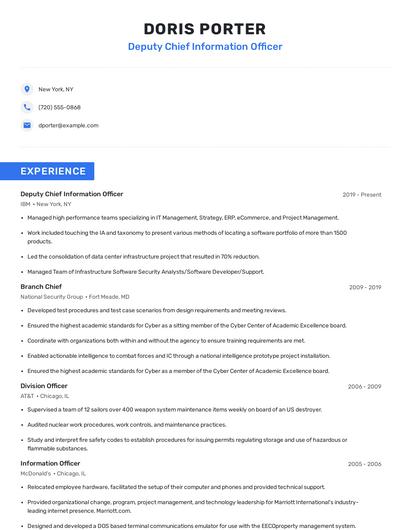 Deputy Chief Information Officer Resume