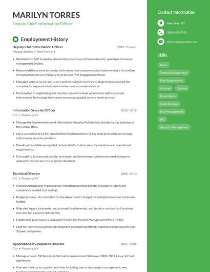 Deputy Chief Information Officer Resume