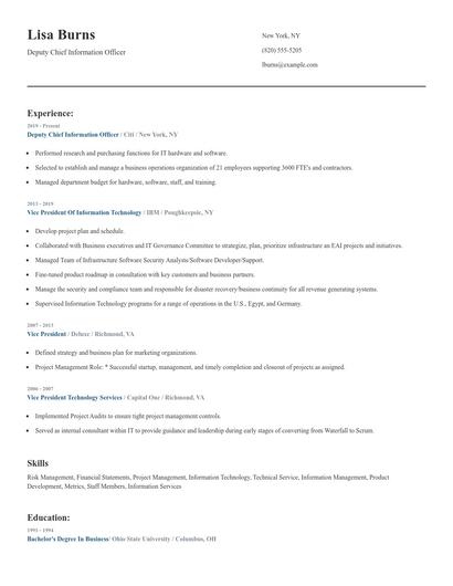 Deputy Chief Information Officer Resume