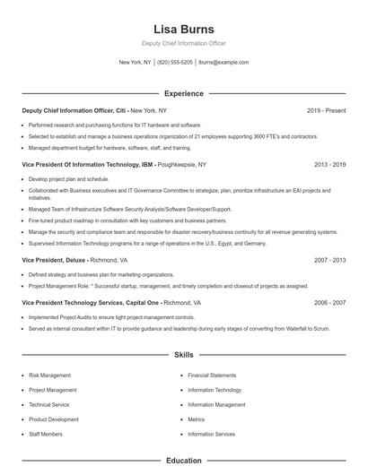 Deputy Chief Information Officer Resume