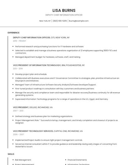 Deputy Chief Information Officer Resume