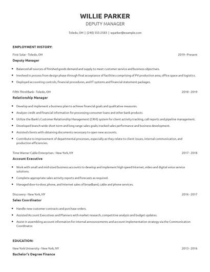Deputy Manager Resume