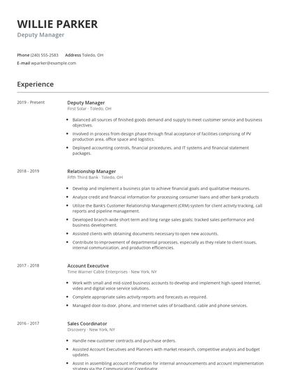 Deputy Manager Resume