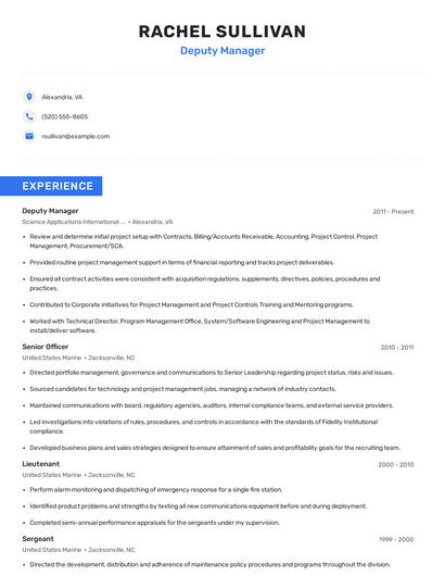 Deputy Manager Resume