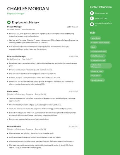 Resume example 5