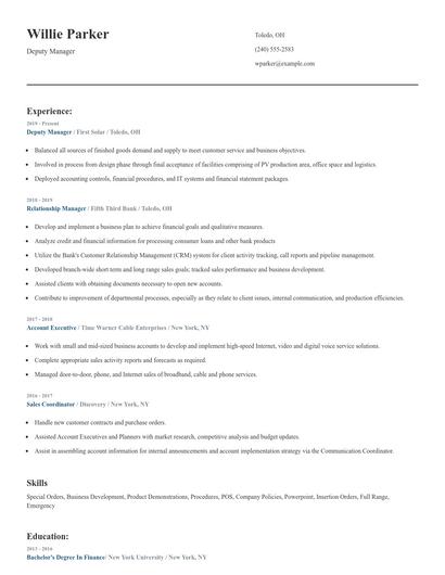Deputy Manager Resume