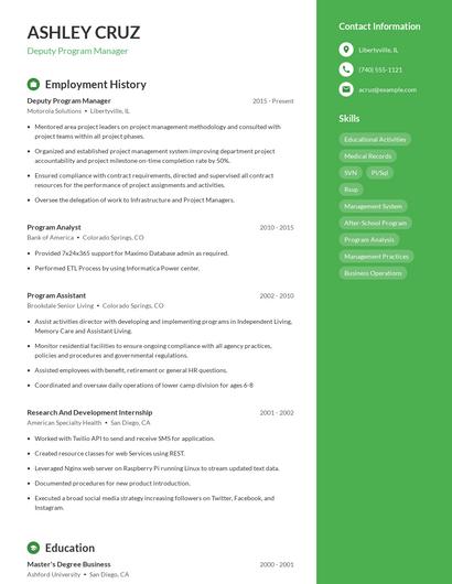 Resume example 5