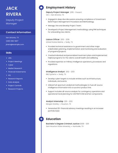 Deputy Project Manager Resume