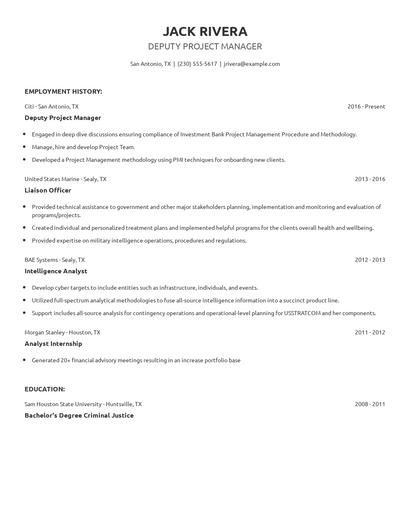 Deputy Project Manager Resume