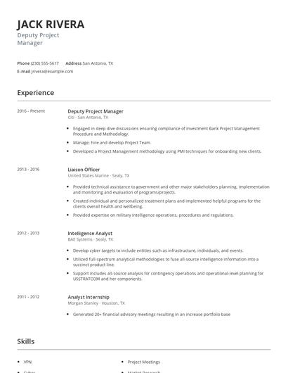 Deputy Project Manager Resume