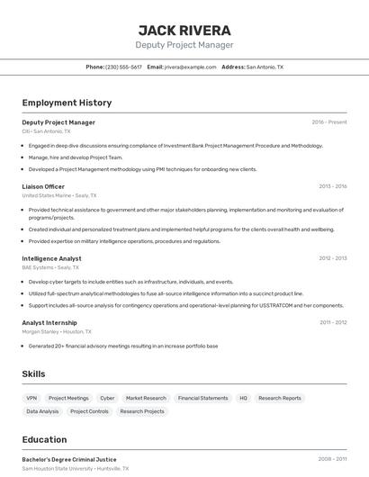 Deputy Project Manager Resume