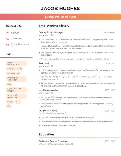 Deputy Project Manager Resume