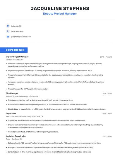 Deputy Project Manager Resume
