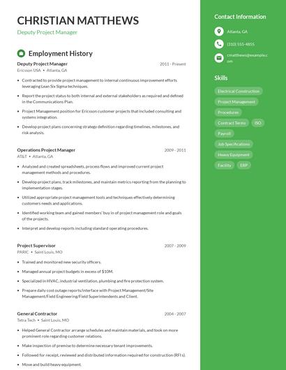 Deputy Project Manager Resume