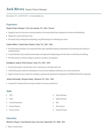Deputy Project Manager Resume
