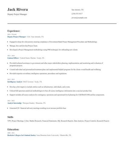 Deputy Project Manager Resume