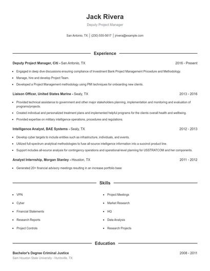 Deputy Project Manager Resume