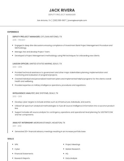 Deputy Project Manager Resume