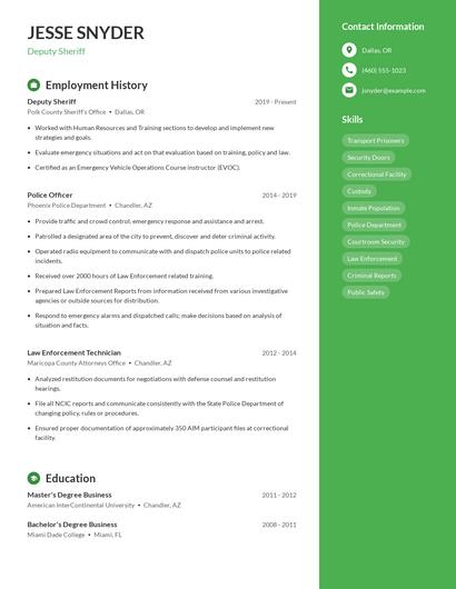 Resume example 5
