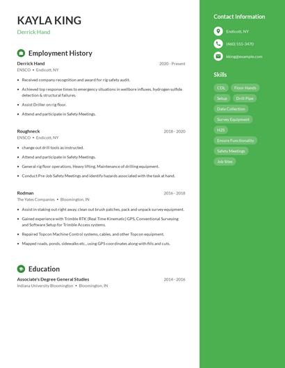 Resume example 5