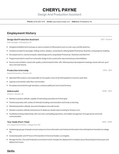 Design And Production Assistant Resume