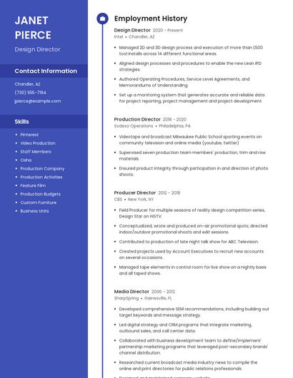 Design Director Resume
