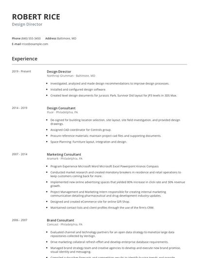 Design Director Resume