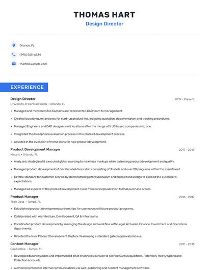 Design Director Resume