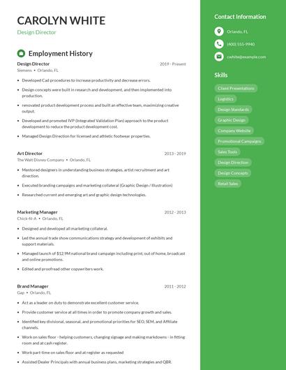 Design Director Resume