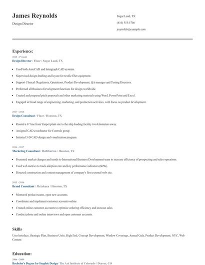Design Director Resume
