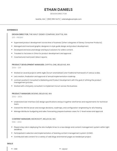 Design Director Resume