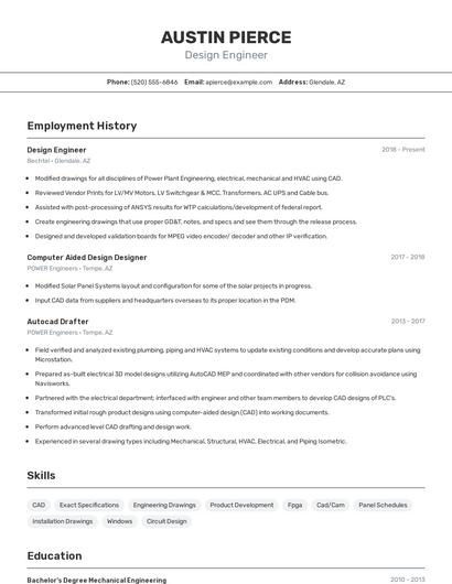 Resume example 2