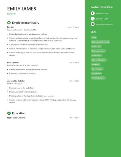 Resume example 5