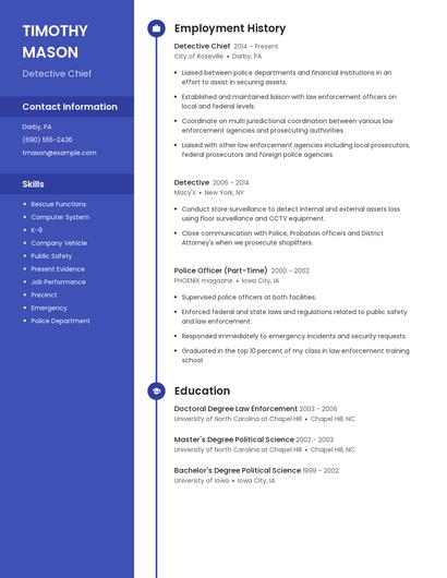 Detective Chief Resume