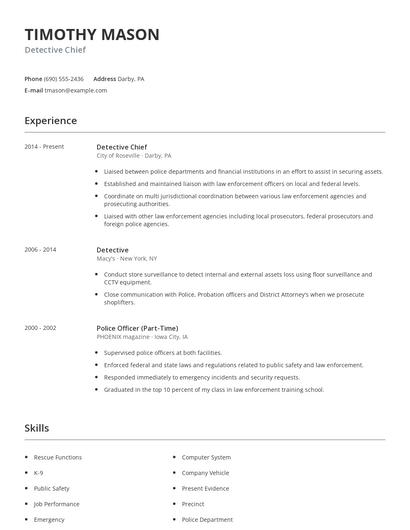 Detective Chief Resume