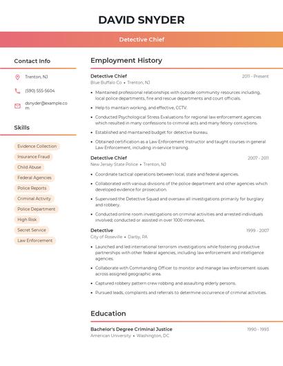 Detective Chief Resume
