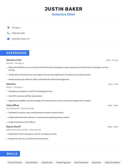 Detective Chief Resume