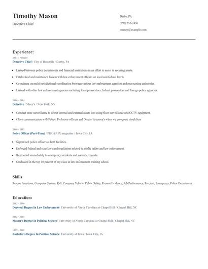Detective Chief Resume