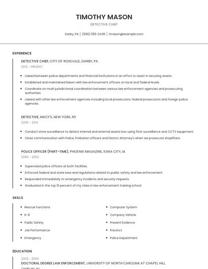 Detective Chief Resume
