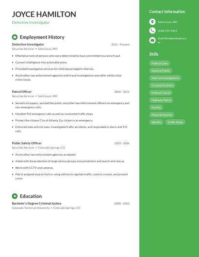 Detective Investigator Resume