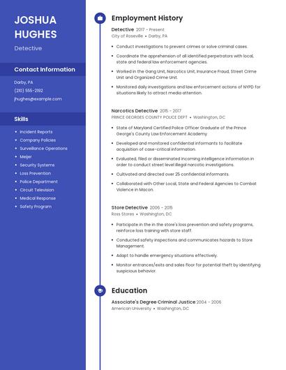 Resume example 4