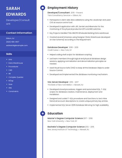 Developer/Consultant Resume