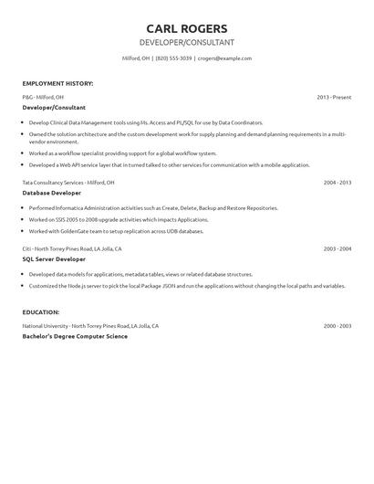 Developer/Consultant Resume