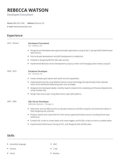 Developer/Consultant Resume